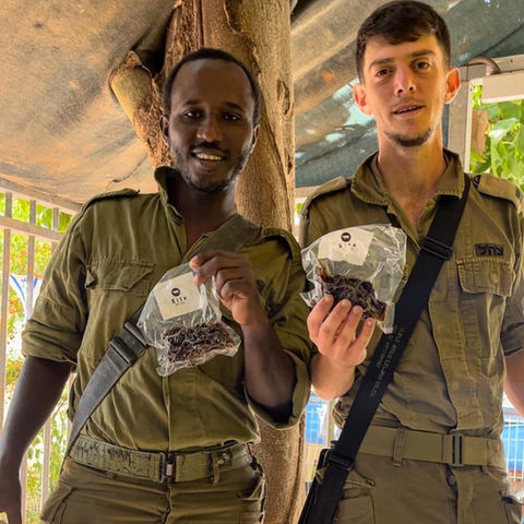 קיטו ביף ג'רקי