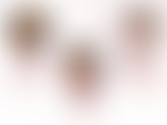 Transformando el territorio: Perspectivas y relatos de las mujeres en el Tolima