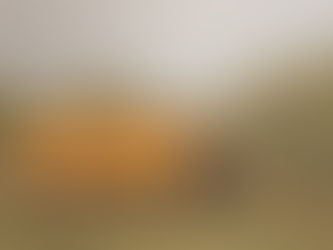 Historias de productores de aceite de oliva premium