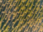 Etiecca_drone_-3.jpg
