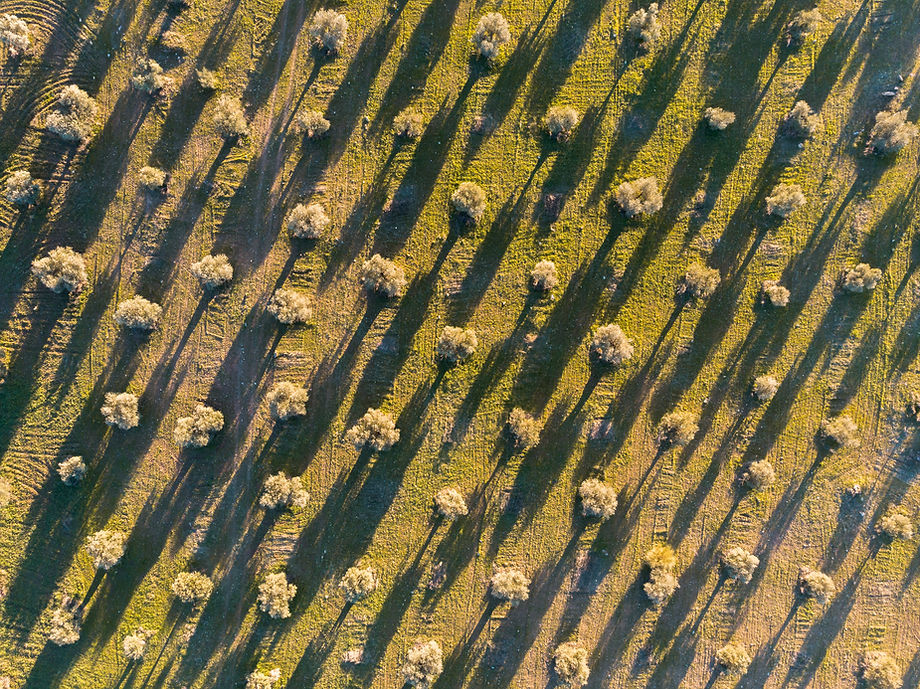 Etiecca_drone_-3.jpg