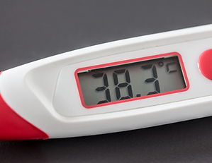 Bildschirmfoto 2026-02-15 um 00.17.55.png