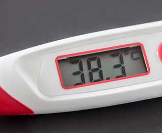 Bildschirmfoto 2026-02-15 um 00.17.55.png