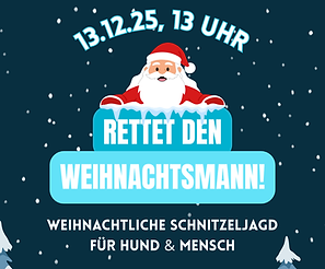 Rettet den Weihnachtsmann.png