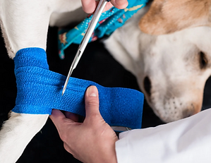 Bildschirmfoto 2026-02-15 um 00.16.08.png