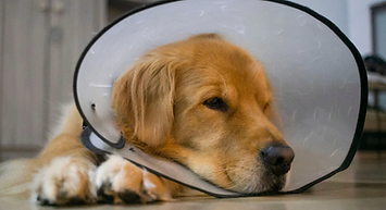 Bildschirmfoto 2026-02-15 um 00.16.17.png