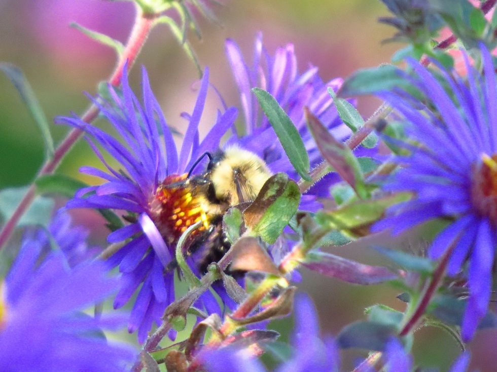 332065232_1205311586766188_1157668660775792308_n