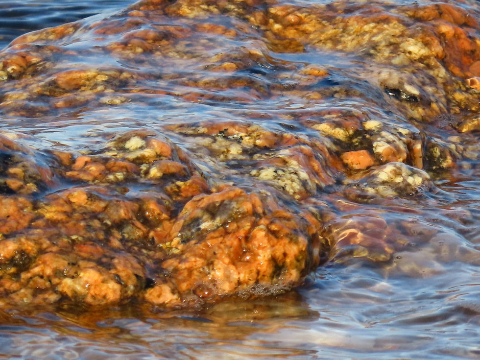 328964248_979707136326626_8650786228301731561_n