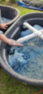 Well aerated indigo aqueous extraction