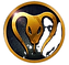 LOGO%20COBRA_edited.png