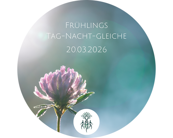 Klee im Frühling