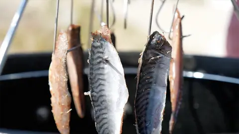 Poisson fumé artisanal préparé dans un fumoir à domicile – technique de fumage à chaud et à froid