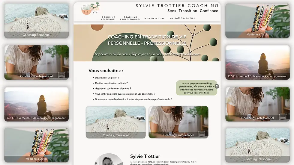 stc-web-design.webp