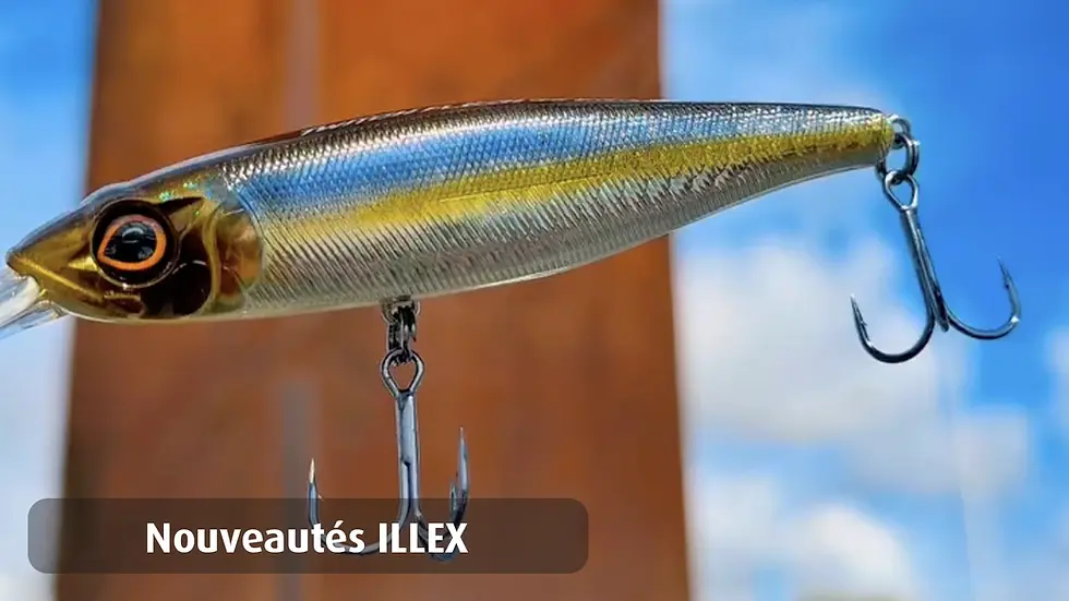 Les nouveautés ILLEX