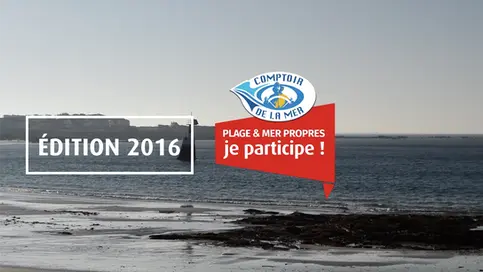 Bénévoles ramassant des déchets sur une plage lors de l’opération Plage et mer propres 2016