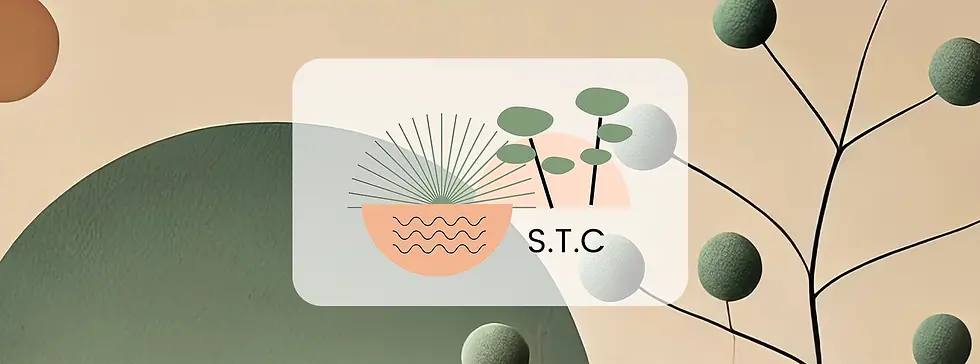 STC-bandeau.webp