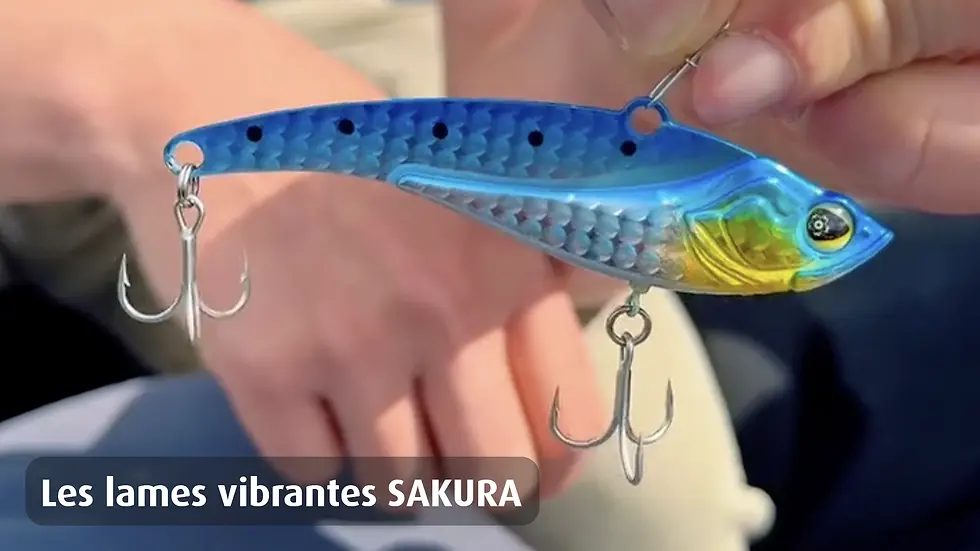 Les lames vibrantes SAKURA