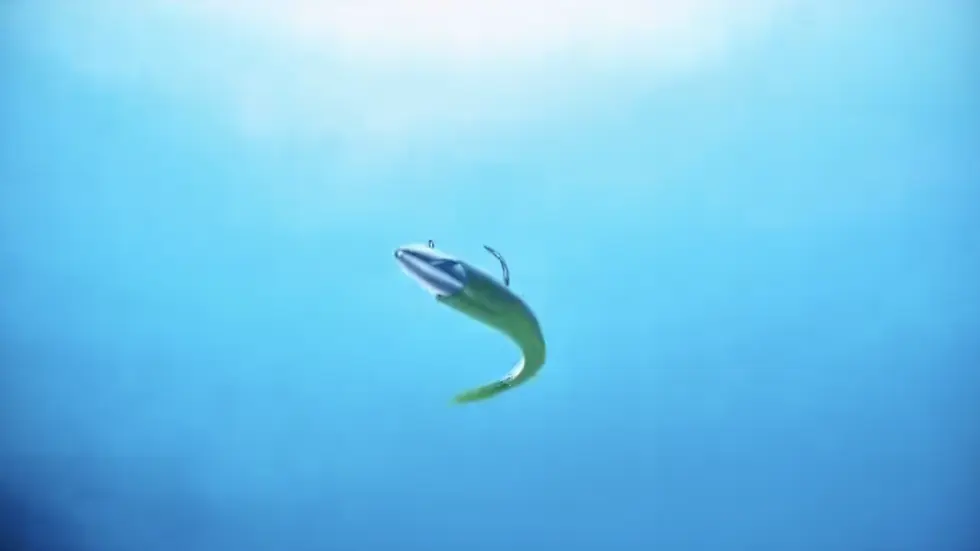 Leurre souple DUO Bay Ruf BR Fish 33 et têtes plombées Bay Ruf BR Head pour pêche aux carnassiers 