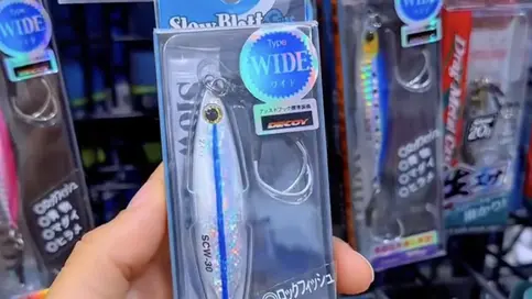 Divers leurres de pêche en mer pour cibler le chinchard, maquereau, maigre et bar