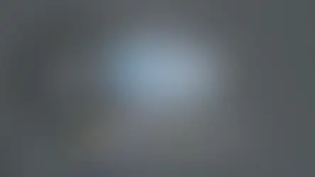 Trois modèles de cannes à pêche Shimano pour leurres souples, poissons nageurs et pêche hauturière – présentation Comptoir de la Mer 