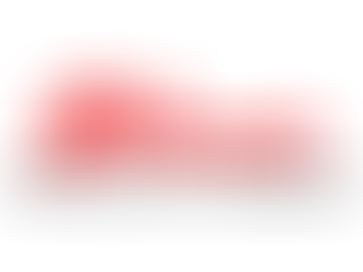 Blommer Chocolate – From Strategy Gaps to a Clear Course in 60 Days