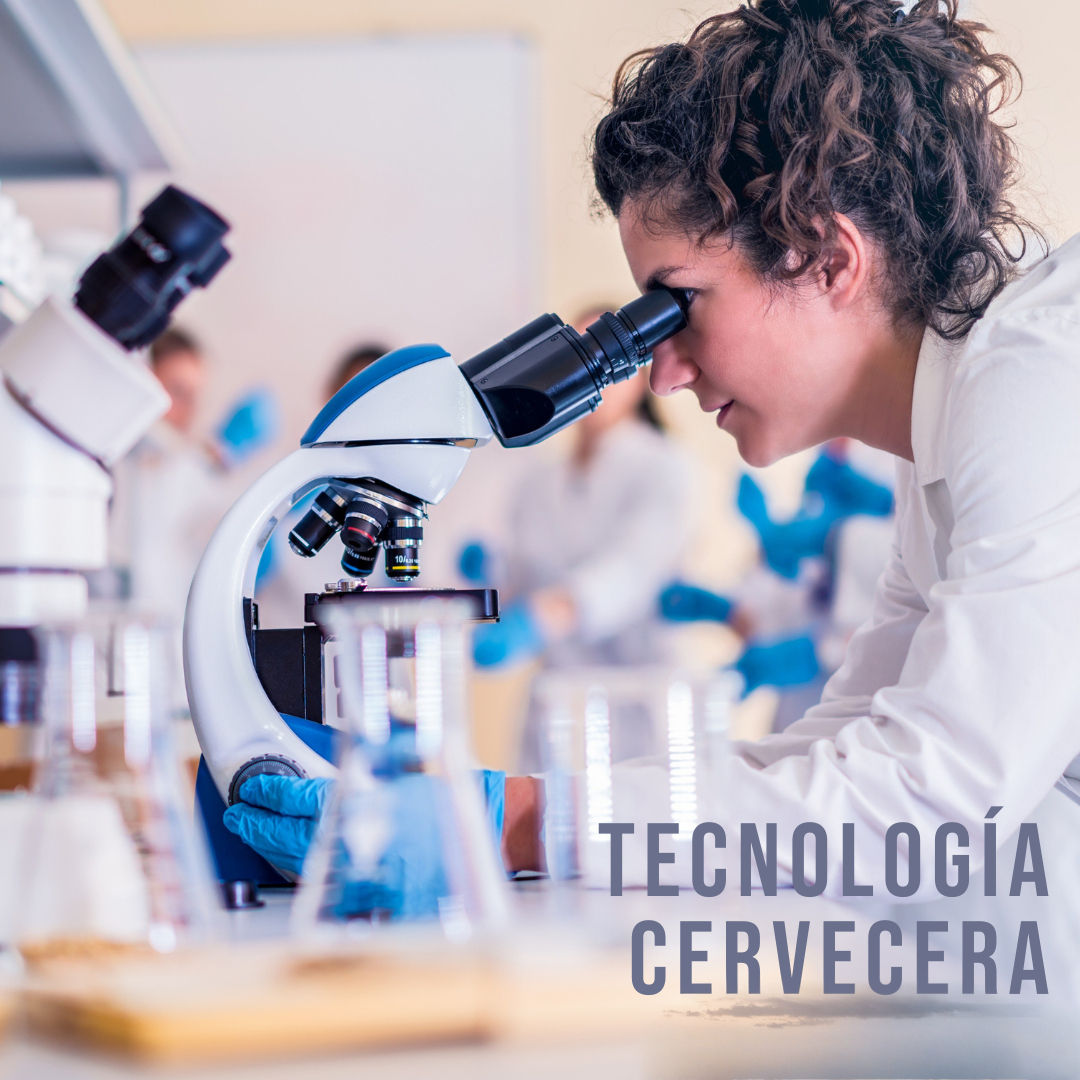 Estudiantes aprendiendo tecnología cervecera en curso presencial de elaboración de cerveza artesanal