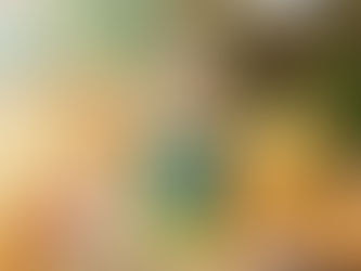 Maior produtor de Cachaça de Alambique do país, Engenho São Paulo, participa da Feira Brasil Cachaça