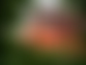 Termina hoje em João Pessoa a II Brasil Cachaças