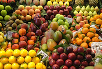 Fruits