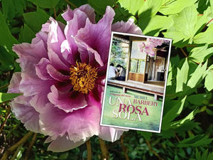 il sapore di un libro