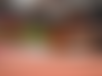 Das 22. Springer-Meeting Cottbus in den Medien