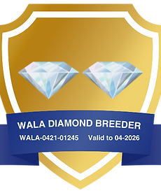 Vi uppfyller kraven för 2 diamanter i WALA
