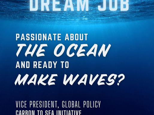 π Dream job alert: passionate about the ocean and ready to make waves?