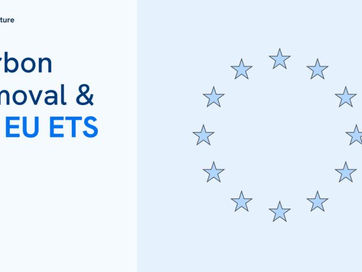 🇪🇺 Putting the 'net' in net zero: carbon removals and the EU emissions trading system (#EUETS)🇪🇺