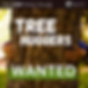 π On the lookout for CDR-tree huggers π²