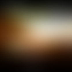 😮 60,000 people have now watched "The Power of Biochar" 😮