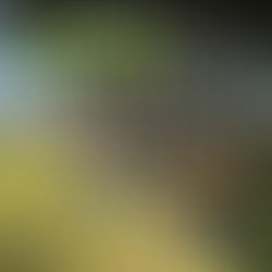 UPDATE: and a ton of biochar carbon removal from Ibero Massa Florestal, S.A. goes to Patrícia Silva, who got closest. The picture was taken at a beautiful farm just outside of Guarda, Portugal.