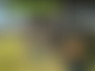 UPDATE: and a ton of biochar carbon removal from Ibero Massa Florestal, S.A. goes to Patrícia Silva, who got closest. The picture was taken at a beautiful farm just outside of Guarda, Portugal.