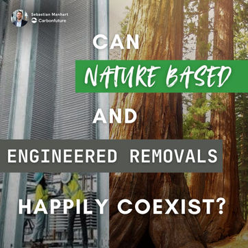 🌱 Can nature based and engineered removals happily coexist?