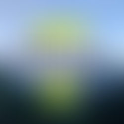 🎉 Happy Carbon Removal Day - How are you celebrating? 