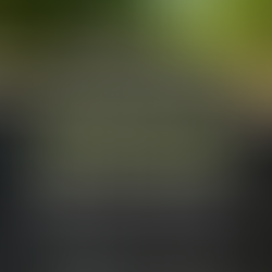 🔍🌱 New report: how permanent is biochar? 10, 100, 1,000 years, or even longer? 🌱🔍