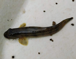 IMG_20210626_084154~2