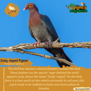 pexels-cottonbro-8767194