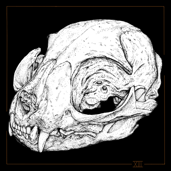 image0.png