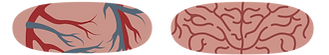 portfolio-logos-v2-02.png