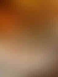 Rosa's Best Pizza Tour Day Trip Brooklyn NYC