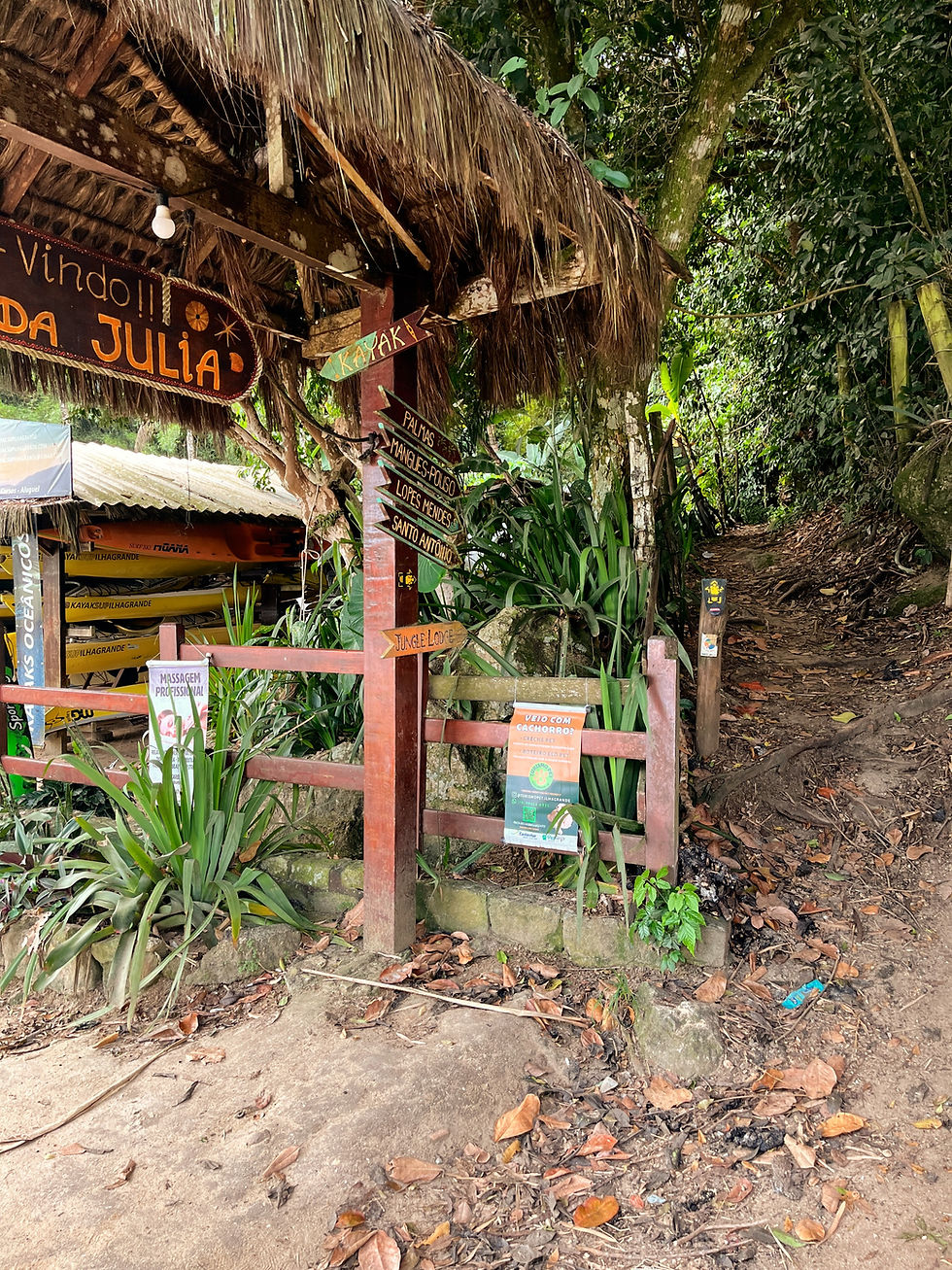 Hiking to Praia Lopes Mendes Ilha Grande