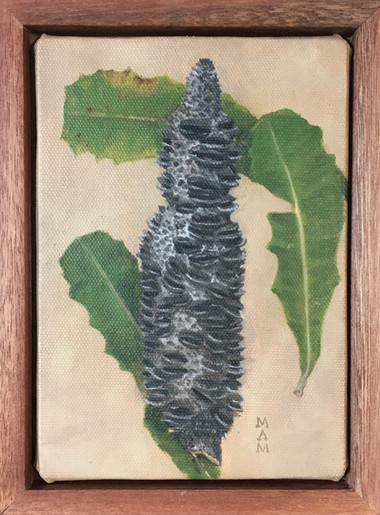 Banksia #1, Oil on Linen, on Panel, 18 x 13 cm framed.