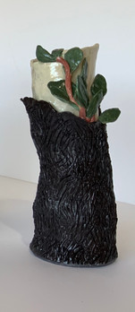 Regrowth Eucalypt Vase.