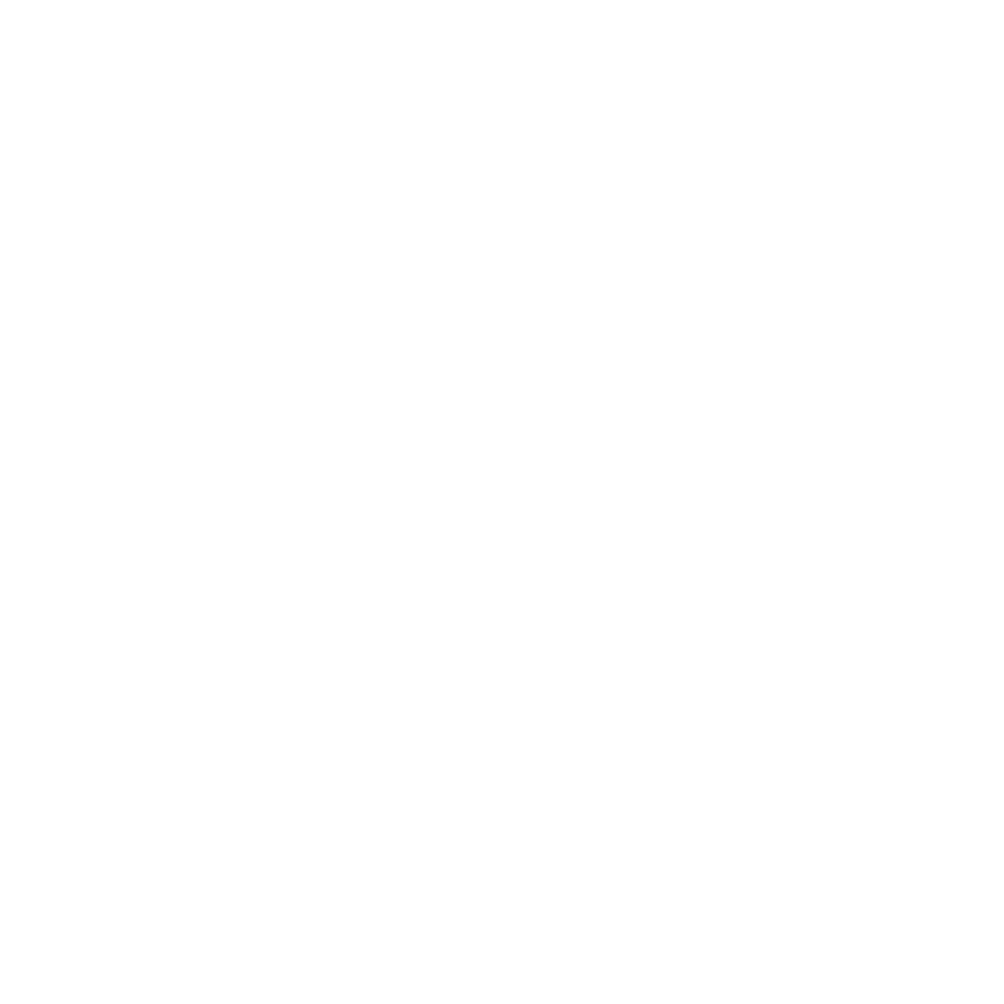 AC1_WHITE_NO BG.png